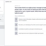 PMI-ACP Practice Test Screenshot 01