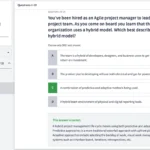 PMI-ACP Practice Test Screenshot 02