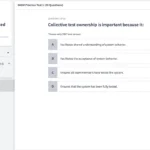 SAFe (SASM) Practice Test Screenshot 01